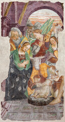 Naklejka premium NOVARA, ITALY - JANUARY 16, 2026: The detail of renaissance fresco of Nativity in the church Basilica di San Gaudenzio from 16. cent. 