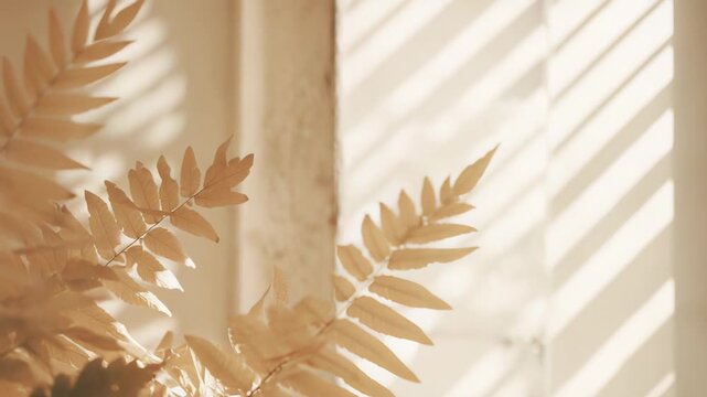 Dried natural fern leaves creating subtle shadows on a neutral textured wall, capturing minimalist botanical elegance with natural light and a serene, warm ambiance