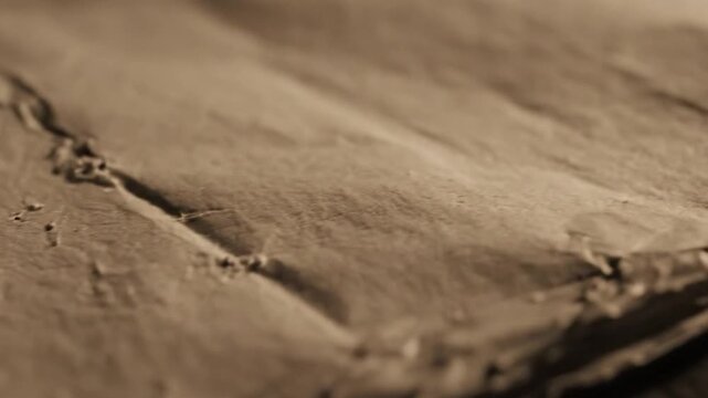 A close-up view of textured surface showcasing natural creases and intricate details