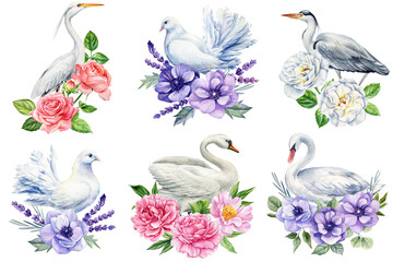 Elegant birds with flowers watercolor illustration set swan dove heron egret with roses peonies lavender © Hanna