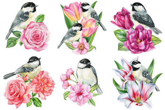 Chickadee bird floral set with rose tulip peony lily and cherry blossoms watercolor bouquets isolated on white