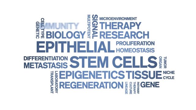 Epithelial Stem Cells animated word cloud-gross domestic product animation tag kinetic typography seamless loop.