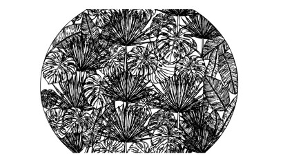 Tropical Leaf Silhouette Vector Set with Palm Banana Fern and Philodendron Leaves © MD