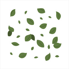 Falling green leaves pattern on white background Vector