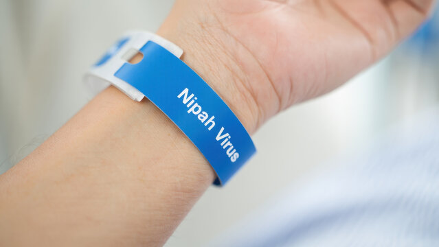 Patient identification wristband labeled "Nipah Virus" for isolation and infection control in clinical setting during viral outbreak