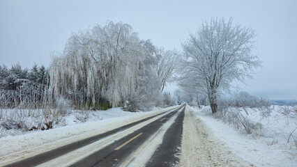 Obraz premium Rime in the Lublin region.