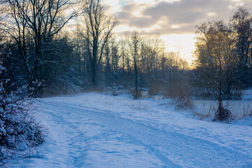 Winter landscape, Nature path with bare trees and grass covered with white fluffy snow under sunset sky in the evening, Area in Amsterdam-Zuidoost border between Abcoude, Utrecht province, Netherlands