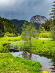 Mountain stream flowing into Red Lake with Hășmaș Mountains, Romania