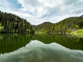 Red Lake surrounded by forest in Eastern Carpathians, Romania