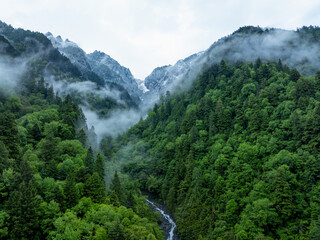 Obraz premium Aerial view of beautiful high altitude snow capped mountain and forest landscape