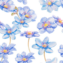 Blue forest flowers. Seamless pattern with flowers of the blue Anemone hepatica (liverleaf, liverwort, kidneywort). Watercolor hand drawn illustration for spring theme decor, wallpaper, postcard