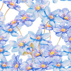 Obraz premium Blue forest flowers. Seamless pattern with flowers of the blue Anemone hepatica (liverleaf, liverwort, kidneywort). Watercolor hand drawn illustration for spring theme decor, wallpaper, postcard