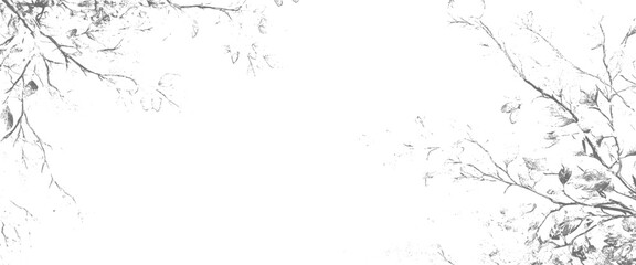 Vector black and white minimal style cad tree line tree leaves 