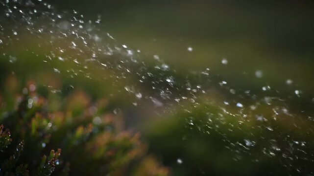 Ethereal Abstract Flow Macro focus on subtle, iridescent particles slowly floating and swirling against a deep, gradient background, creating a meditative visual.