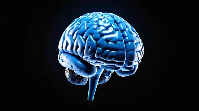 Glowing Blue Human Brain Anatomy with Intricate Detail on Black Background