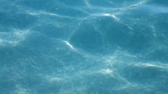Abstract Natural Textures Focusing on the patterns and details of the lake's surface.