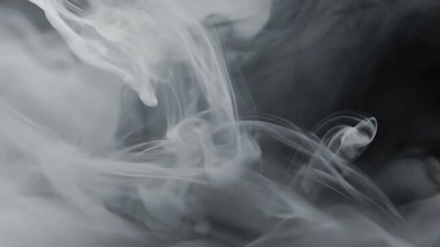 Grayscale Backgrounds Highlighting the versatility of neutral ink as a clean and sophisticated backdrop.