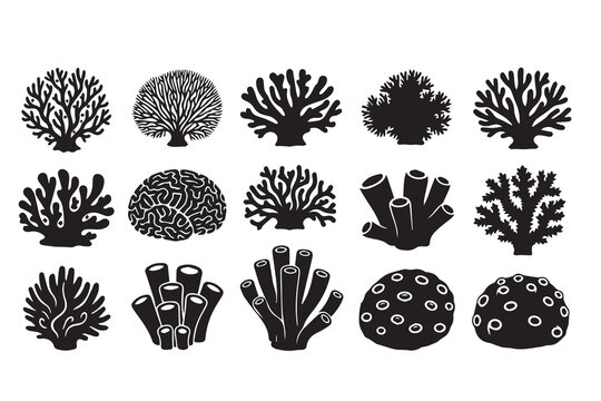Coral Reef Silhouette Set &ndash; Underwater Sea Plants, Ocean Sponges, and Marine Flora Vector Icons