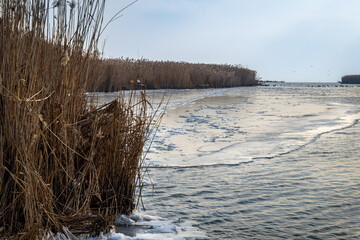Wildlife sanctuary, birds on a frozen lake.