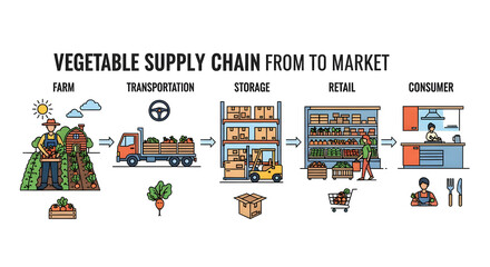 Fototapeta premium Vegetable supply chain process illustration on white background from farm to market