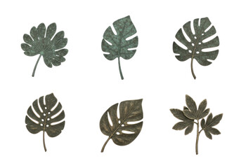 Collection Of Various Textured Tropical Plant Leaves In Various Shades Of Green And Brown Isolated Transparent Background