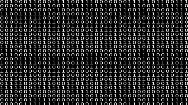 Realistic Binary Code Stream Cascading 0 and 1 up to down animation. abstract data, information, and the digital realm technology and data effect concept. 