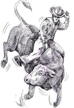 Bull rider Drawing