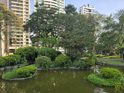 Pond and Greenery in a City Park with Skyscrapers Behind