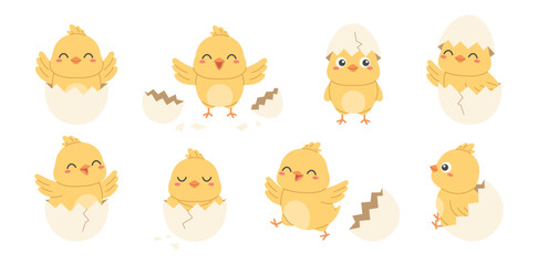 Cute easter chick characters hatching from eggs. Baby chicken poses for spring holiday cards, kids design and decorations © Tetiana