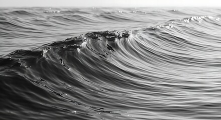 Black and White Ocean Wave CloseUp Nature Photography