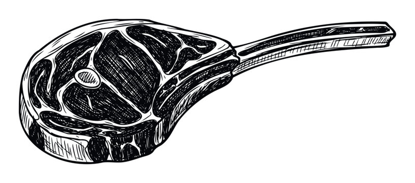 Hand drawn sketch of a Tomahawk beef steak with bone, perfect for butcher shop menus, restaurant promotions, or culinary blog posts about premium meat cuts and cooking.