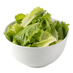 White bowl filled with fresh green lettuce isolated on transparent background