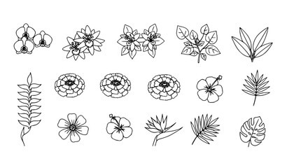 Latin American Flower Thin Line Icons Set with Tropical and Cultural Botanical Symbols Editable Stroke Vector © Shukimon