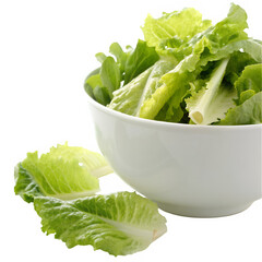 White bowl filled with fresh green lettuce isolated on transparent background