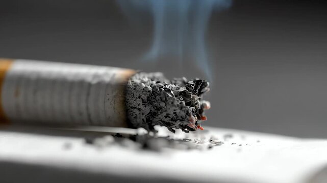 Close-up of a burning cigarette with smoke and ash