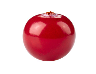 A single, bright red, round berry with a glossy surface and a subtle stem
