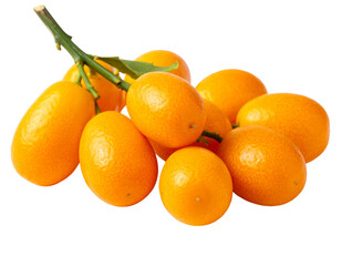 Cluster of bright orange oval fruits on a green stem against black