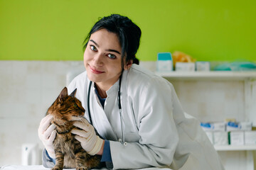 Compassionate Vet Examines Cat in Clinic With Stethoscope, Warm Smile, and Gentle Care
