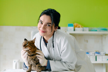 Caring Veterinarian Examining Cat With Stethoscope In Bright Clinic Setting, Smiling Female Vet Providing Gentle Pet Care