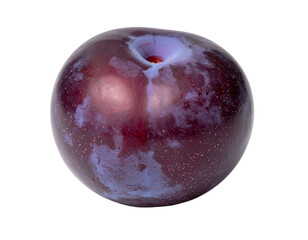 A solitary, dark purple plum with a slightly dusty bloom and a deep indentation