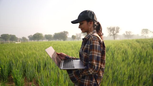 Young woman using laptop on agricultural field. Business lady pointing her finger and looking at notebook screen. Modern female farmer wearing cap and inspecting the wheat green field crop.
