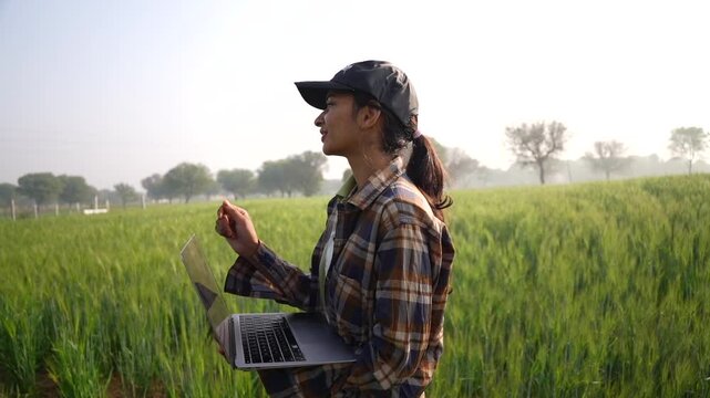 Young woman using laptop on agricultural field. Business lady pointing her finger and looking at notebook screen. Modern female farmer wearing cap and inspecting the wheat green field crop.