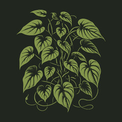 Fototapeta premium Lush Green Heartleaf Philodendron Illustration on Dark Background.