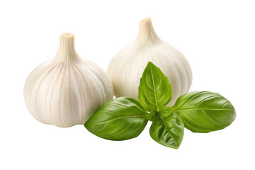 Two garlic bulbs with fresh basil leaves isolated on transparent background