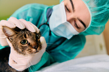 Caring Veterinarian Examines Cat During Checkup in Clinic With Green Scrubs