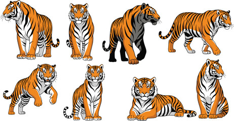 Obraz premium Tiger character vector set. Realistic cartoon tigers in multiple poses and actions. Wild jungle animal illustrations for wildlife design, education and nature projects.