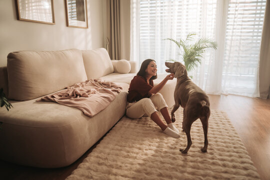 patient woman instructs dog to offer paw, relaxed environment with woman teaching her dog commands