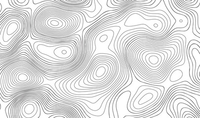 Fototapeta premium Abstract Topographic Map Contour Lines Background; Seamless Minimalist Geographic Vector Pattern, Black and White Organic Curve Texture for Outdoor Branding and Modern Web Design