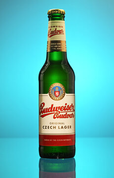 A Budweiser bottle of Czech lager sits on a blue background