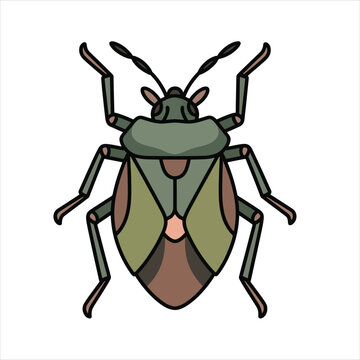 Illustration vector og a stink bug design